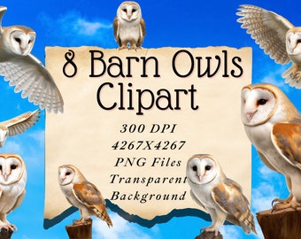 Barn Owl PNG Clipart 8 images Watercolor Sublimation File Card Making Journaling Scrapbooking