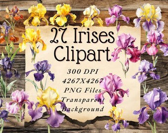 Iris Watercolor Illustration 27 Clipart PNG Files High-Resolution Floral Art Collection digital planner Junk Journal Invitations Wedding