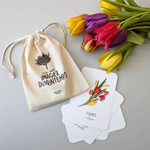 30 cartes imagier du printemps à nomenclature  - Flash cards - jeu d’apprentissage d’inspiration Montessori