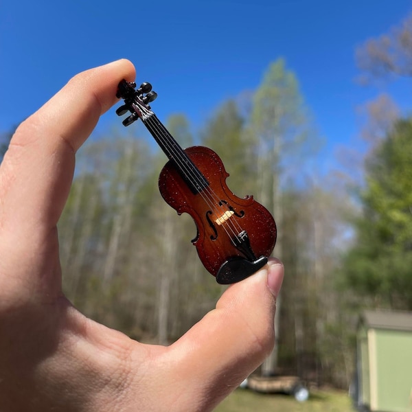 Small Tiny Violin For Those Musically Gifted People