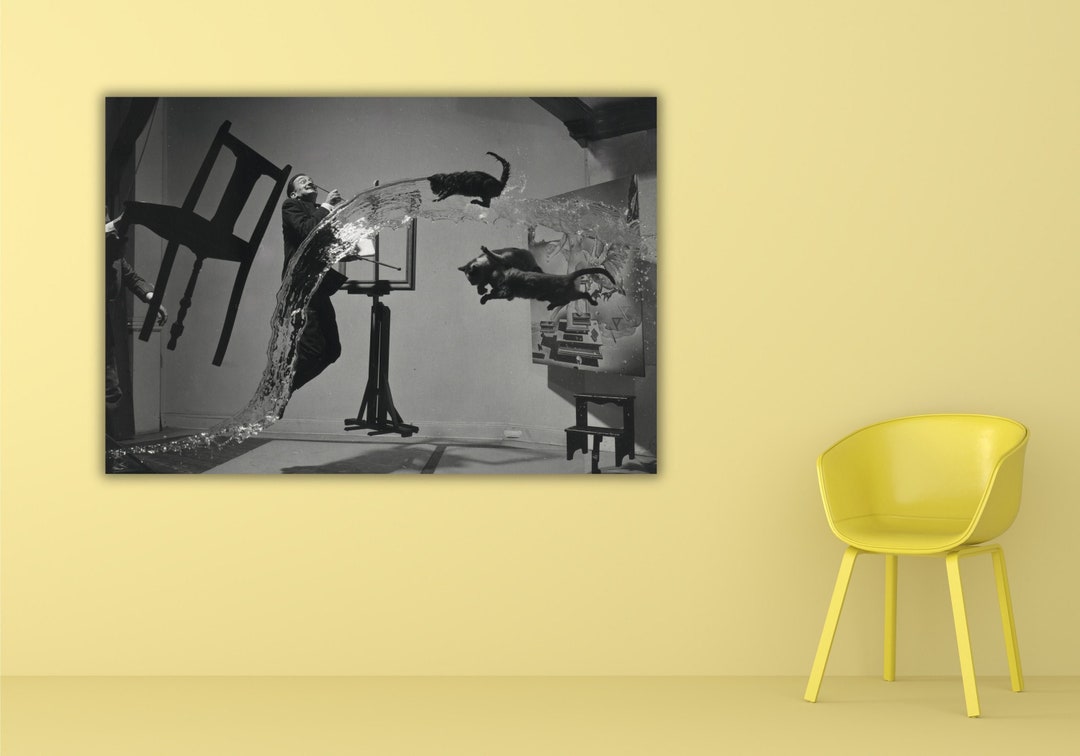 Salvador Dali Atomicus Philippe Halsman Print Art,atomicus 1948 Canvas ...
