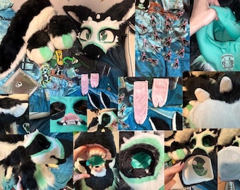 holenderski DM pierwszy