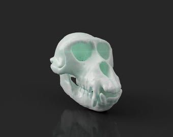 猿の頭蓋骨 - 3D プリント可能なデジタル ファイル - Etsy 日本