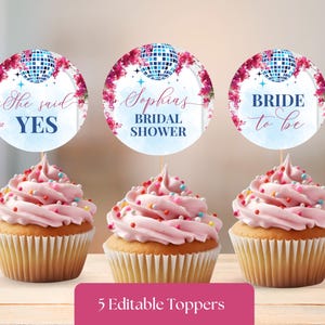 Dancing Queen Age 17 Edible Cupcake Toppers – Pre-Cut, 12 X 2 Inch Circles
