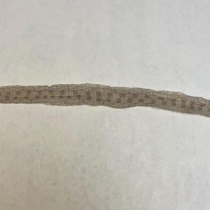 Desert Horned Viper shed skin