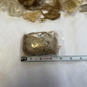 May include: A collection of shed snake skins in various shades of tan and brown. Some skins are loose, while others are contained in a clear plastic bag. A measuring tape is placed next to the bag, showing measurements in inches.