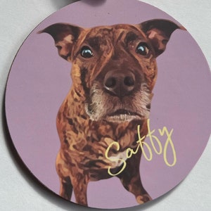 Pet paw-trait Christmas decorations
