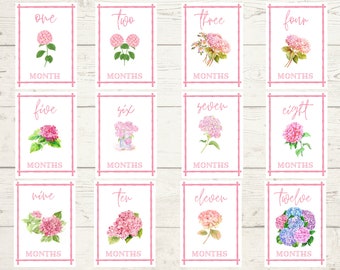 Watercolor Hydrangea Baby Milestone Cards: Shower Gift