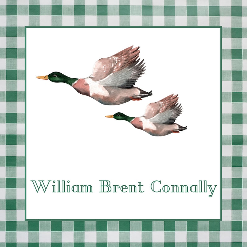 24 Watercolor Boy Duck Calling Cards Monogram Boy Enclosure Cards