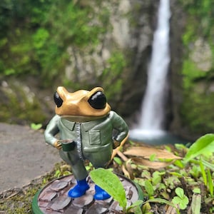 Sapo Concho (debí tirar mas fotos)