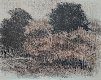 Richard MAYHEW Signierte Lithographie, 1987 / Original Grafik von Mayhew