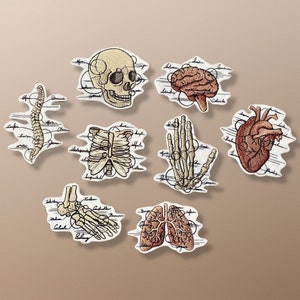 Sketch Style Anatomy Design Patches - Heart, Ribcage, Brain, Spine, Skull, Hand, Foot, and Lungs - Iron-On or Sew-On - Two Size Options