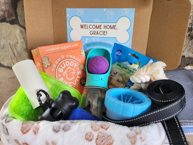 May include: A brown cardboard box filled with a new puppy survival kit. The kit includes a water bottle, a rope toy, a chew toy, a poop bag dispenser, a green training pad, a blue training tool, a bag of dog biscuits, and a blue and white card that says "Welcome Home, Gracie!"