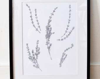 May include: Black framed art print featuring delicate line drawings of lavender sprigs on a white background. The botanical illustration is set against a white mat, and the frame is resting on a wooden floor.