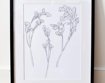 May include: A framed botanical print featuring delicate black and white line drawings of several plant stems with detailed leaves. The artwork is displayed in a black frame with a white mat, leaning against a white wall on a wooden floor.