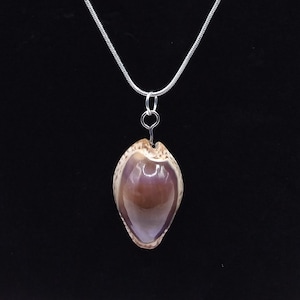 18&quot; Purple Top Tiger Cowry/Cowrie Necklace