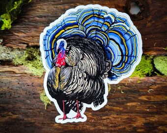 Turkey Tail Mushroom Sticker | Hilarious Tongue-In-Cheek Medicinal Mushroom | Cottagecore Laptop Decal