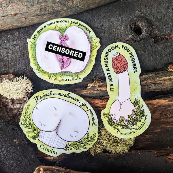 Set of 3 Adult Humor Stickers | It's Just a Mushroom You Pervert | Common Stinkhorn | Crimini Buttshroom | Purple Gilled Laccaria