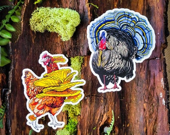 Funny Mushroom Stickers | Set of 2 Stickers | Chicken of the Woods | Turkey Tail | PNW Wild Mushroom Sticker