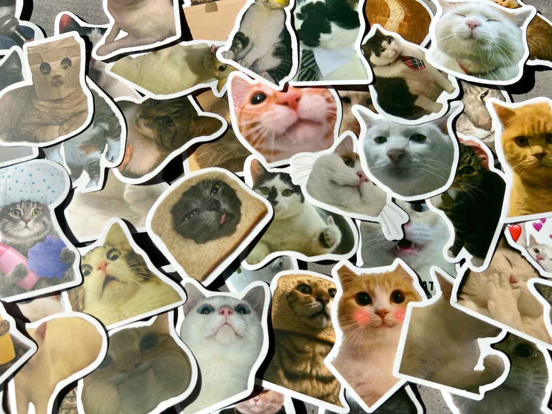 Sticker Cat. Random 20 Random Pet Meme Sticker Pack / Funny Cute Cat Kitten Dog Puppy ...