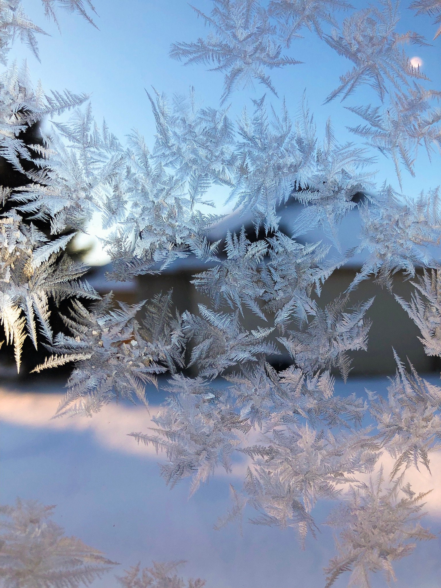 Frozen Snowflakes Winter Wonderland Aesthetic Window Snowflake - Etsy