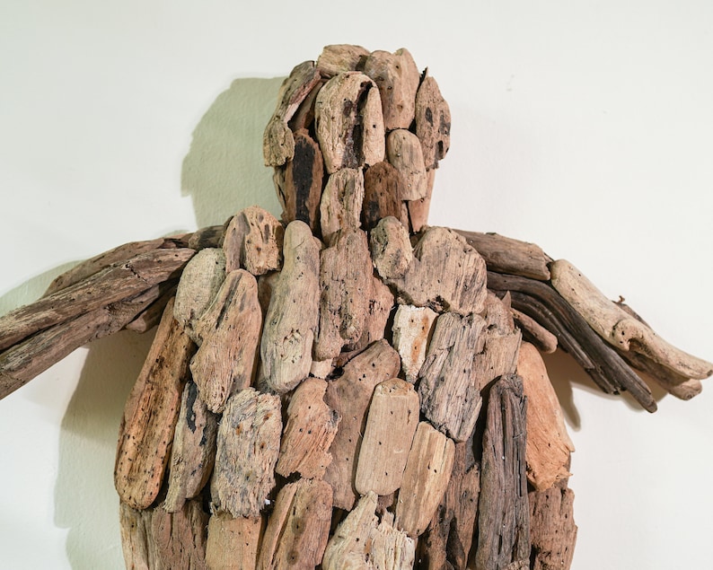 May include: A wall sculpture made of driftwood, shaped like a turtle. The sculpture is made of many pieces of driftwood, all different sizes and shapes. The driftwood is a natural brown color.
