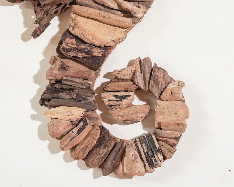May include: A brown driftwood seahorse wall decor. The seahorse is made of natural driftwood and has a rustic, organic look.