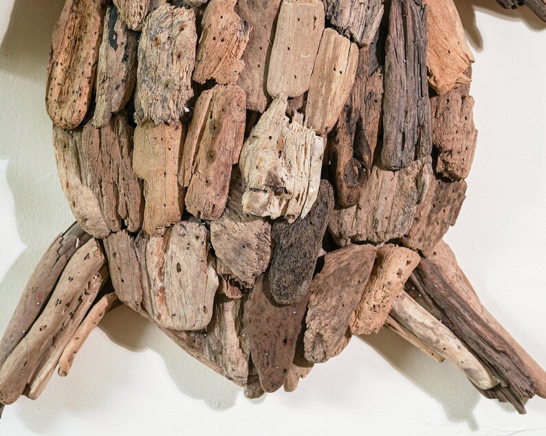 May include: A close-up of a turtle sculpture made from driftwood. The turtle's shell is made of many small pieces of wood, and its legs are made of larger pieces of wood.