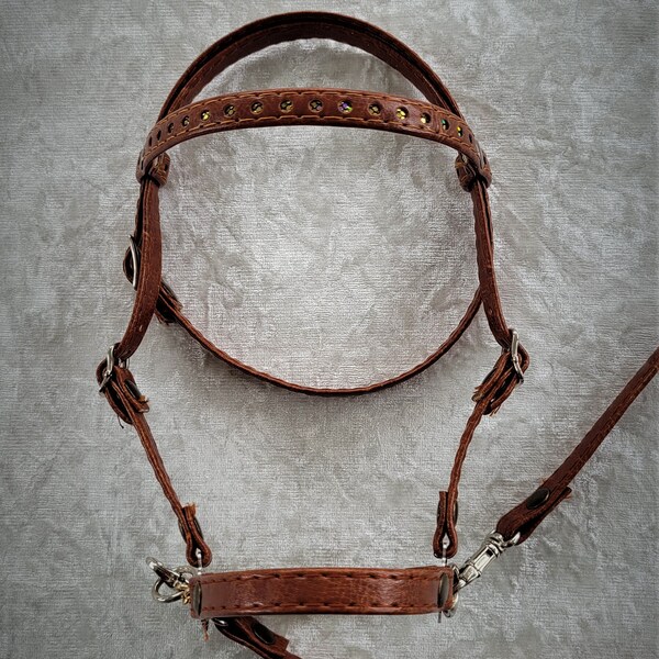 Hobby horse hoofdstel Etsy Nederland