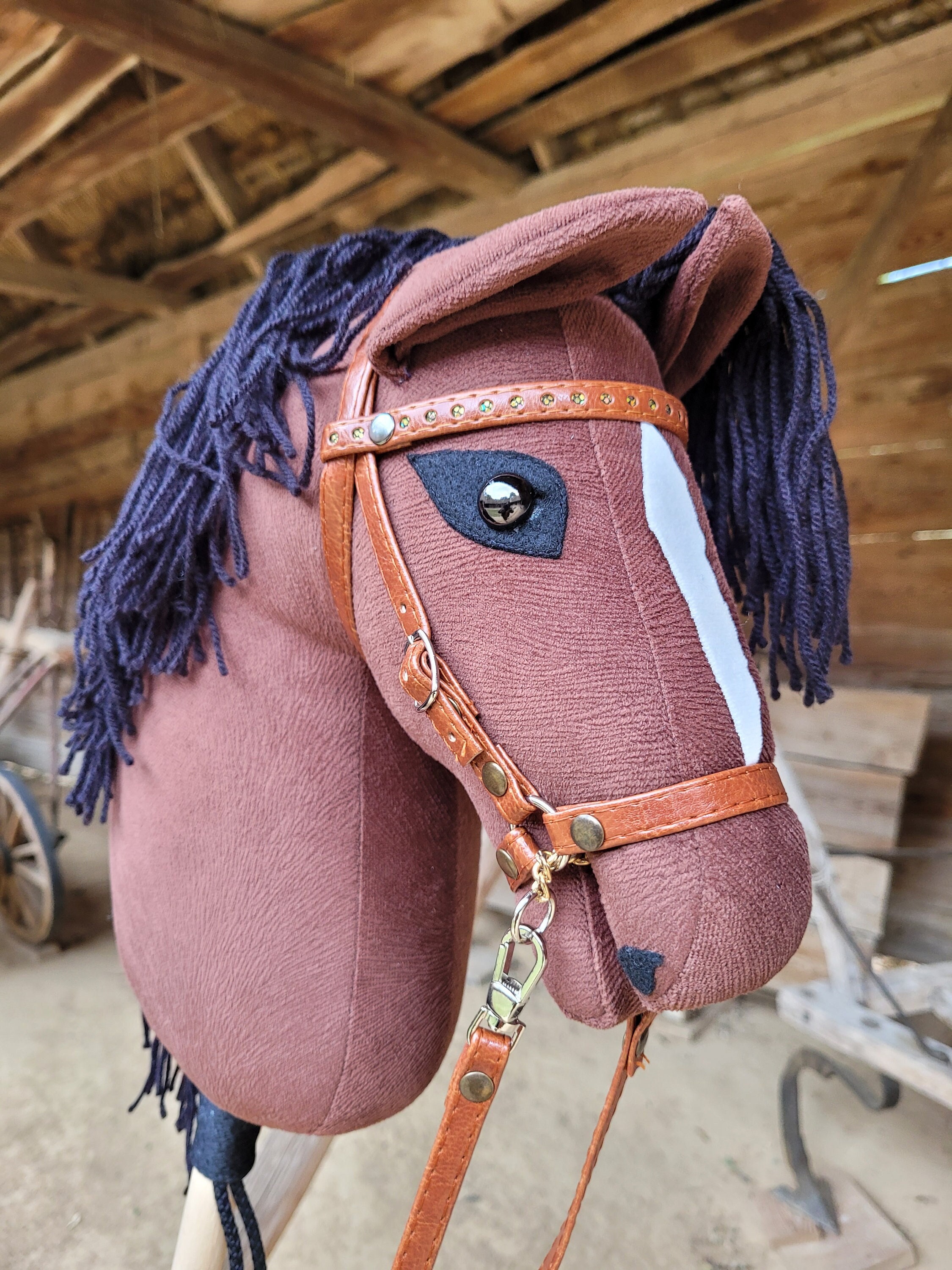 Best hobby cheap horse