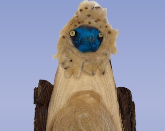Blue-footed booby needle-felted wall sculpture, walnut and wool animal replica, handmade bird art, faux animal taxidermy