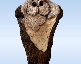 Needle Felted Barred Owl Sculpture, Live Edge Walnut Wall Art