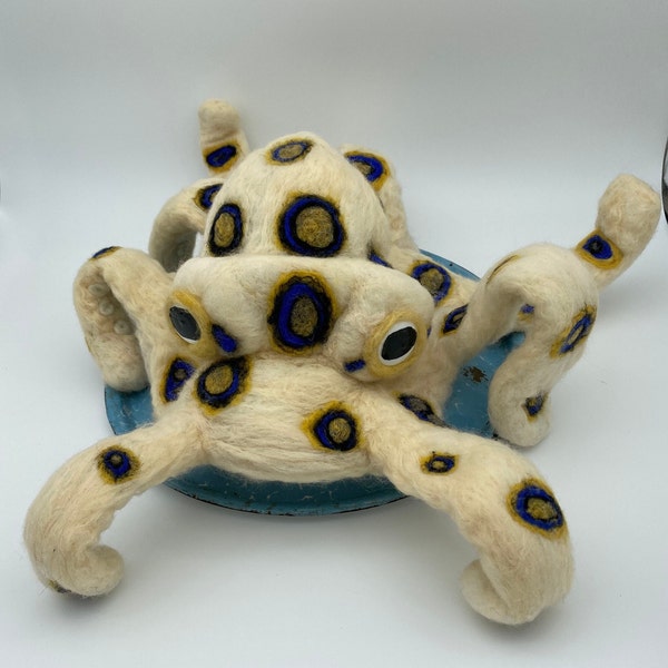 Blue-ringed octopus needle felted animal sculpture | faux taxidermy | felt animal wall decor