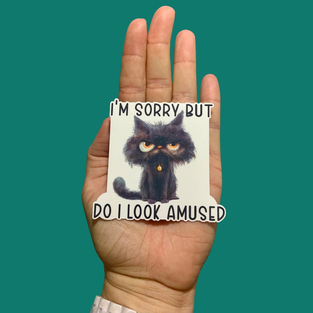 I'm Sorry but Do I Look Amused, Funny Sticker, Cat Sticker, Water ...