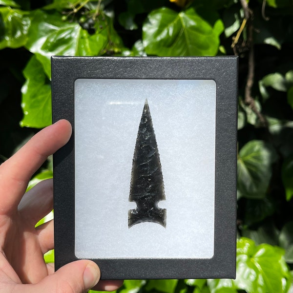 Arrowhead Display Case Etsy