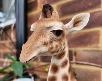 Adornos de animales de safari de vida silvestre de jirafa bebé sentada en miniatura realista de Vivid Arts