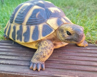 Adorno de tortuga de resina realista de Hermann, de Vivid Arts, para decoración de estanques y acuarios.