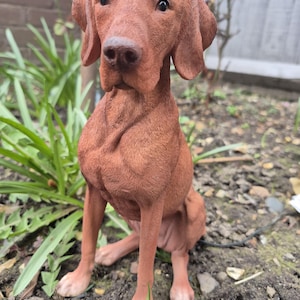 Vivid Arts Hungarian Vizsla Dog - Garden Or Indoor Home Ornament Dog Lover Gifts