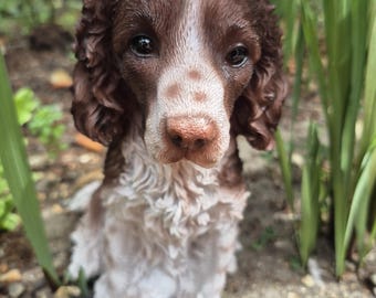 Adorno de Springer Spaniel para jardín, coleccionable, regalo para amantes de los perros.