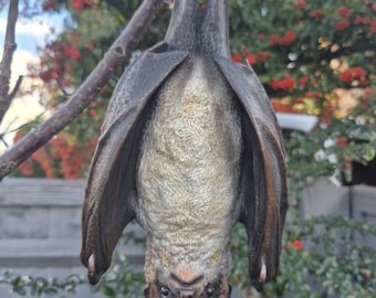 Adorno colgante de murciélago para jardín • Decoración gótica caprichosa para exteriores • Regalo único