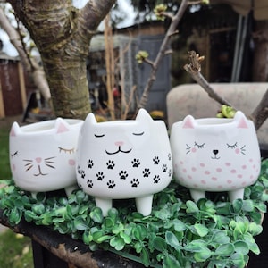 May include: Three white ceramic cat planter pots with different designs. One has black paw prints, one has pink polka dots, and one has a simple cat face.