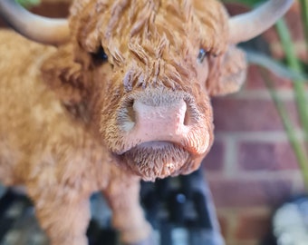 Adorno realista de vaca de las Tierras Altas en miniatura / Estatua de resina en miniatura de Vivid Arts