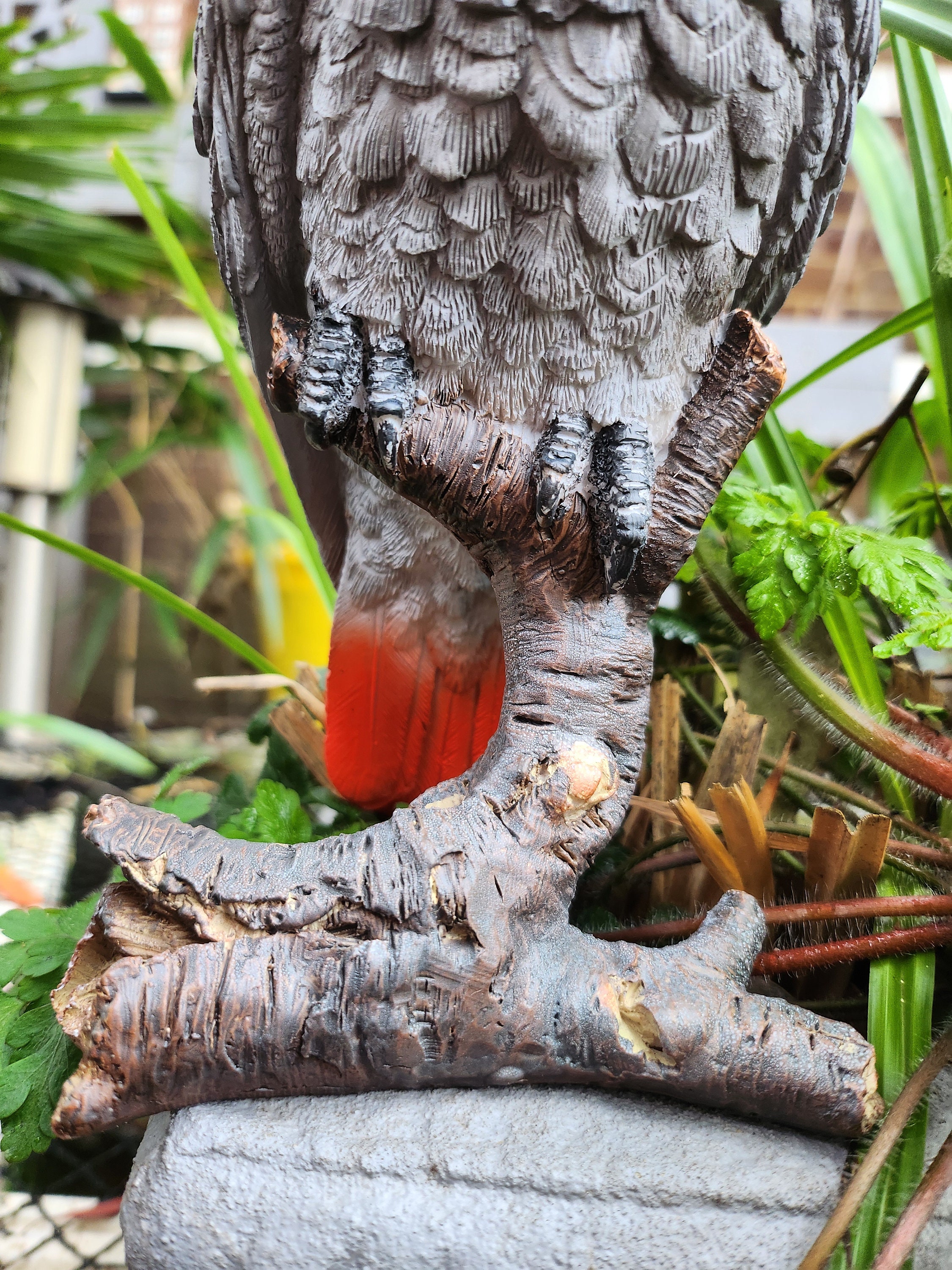 Grijze roodstaart papegaai - Torenbeek Glas in Lood