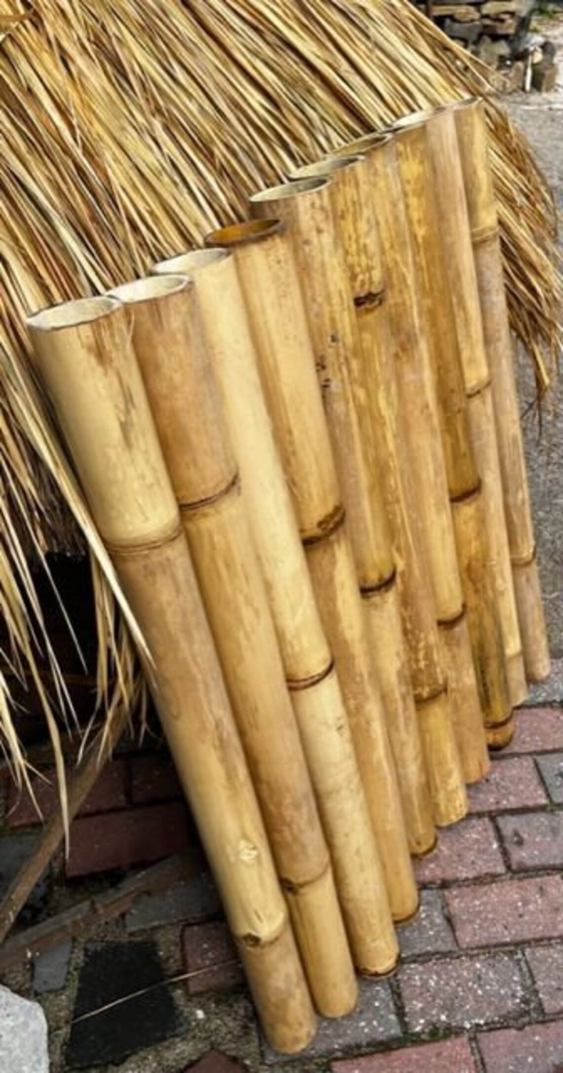 5 Bamboo Poles Each 1.00 Meter Bamboo Tubes Natural Diameter 810 Cm