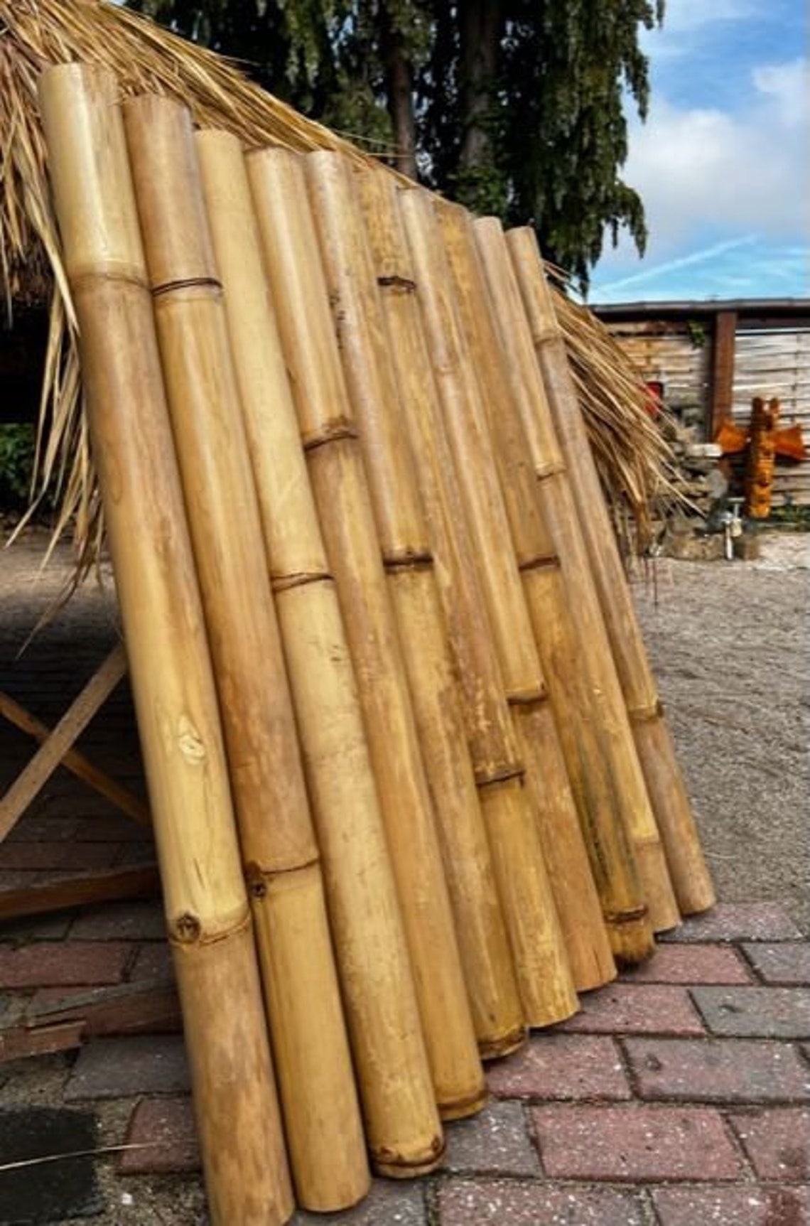 5 Bamboo Poles Each 1.00 Meter Bamboo Tubes Natural Diameter 810 Cm