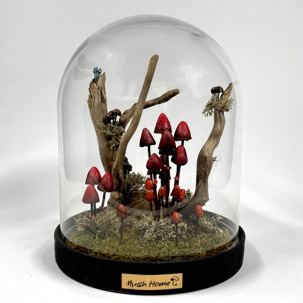 Mushroom Terrarium Etsy