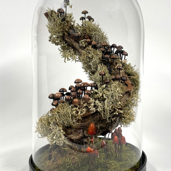Mushroom Terrarium Etsy