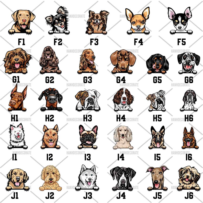 Custom Pet Mat, Funny Dog Mat, to Our Home Doormat, Pet