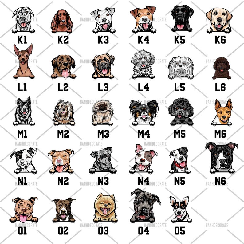 Custom Pet Mat, Funny Dog Mat, to Our Home Doormat, Pet