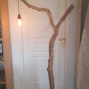 May include: A wooden floor lamp shaped like a tree branch with a light bulb hanging from a cord. The lamp is in a room with a white door and wooden floor.